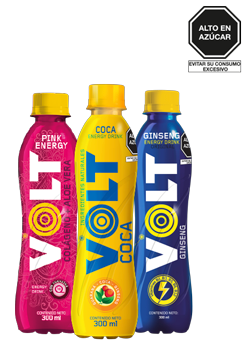 Bebida Energizante Sabores Variados